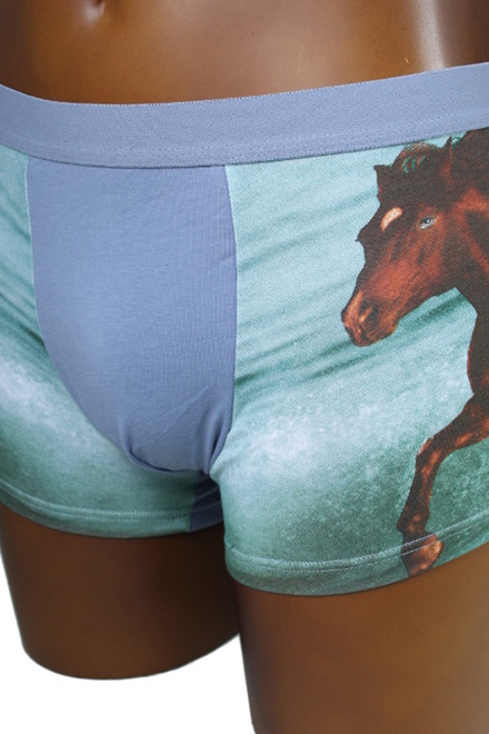 Horse boxerky s obrázkem koně