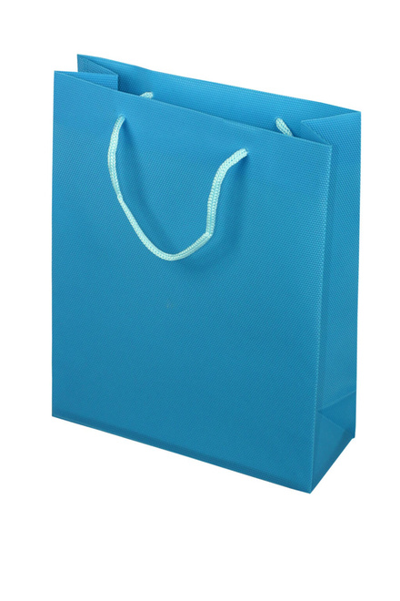 Dárková taška Festum Blue 22x18x7,5 cm